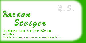 marton steiger business card